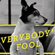 Illustration for article titled iEverybody’s Fool/i is a sequel that never justifies its own existence